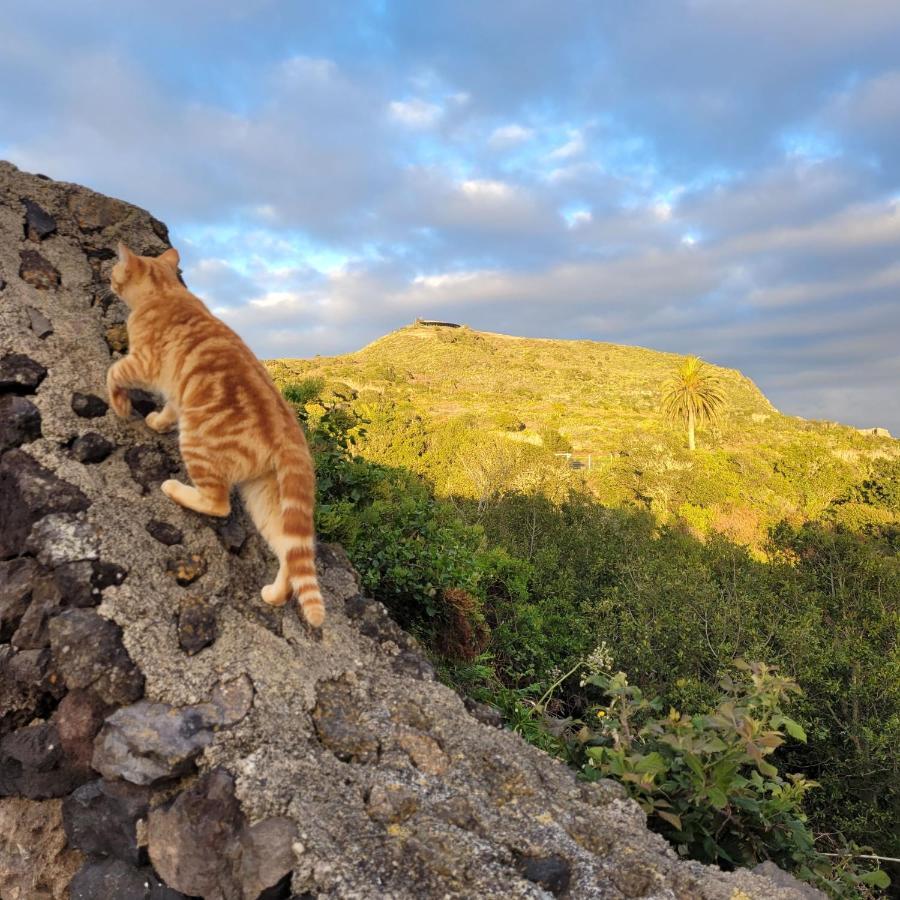 Finca El Lance El Tanque Exteriör bild